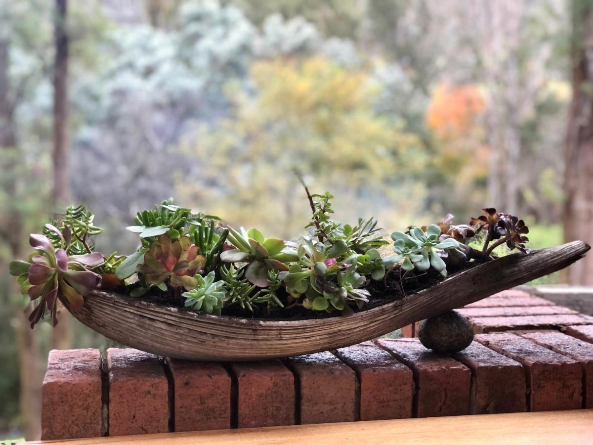 吉瓦山林小屋 芒特比尤蒂 外观 照片